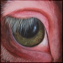 Augenblick eines Schweins; Acryl auf Leinwand;
30 x 30 cm
